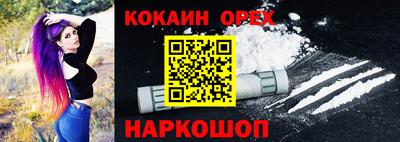 a pvp Новозыбков