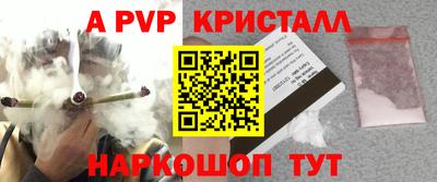 a pvp Новозыбков