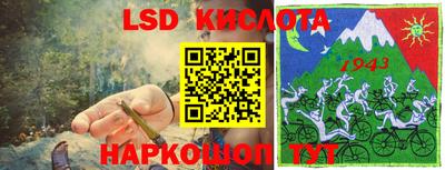 a pvp Новозыбков