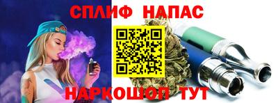 a pvp Новозыбков