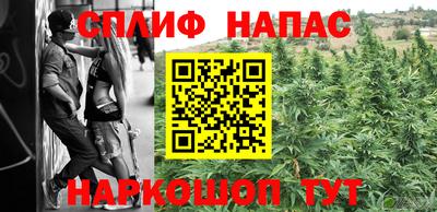 a pvp Новозыбков