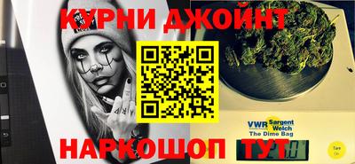 a pvp Новозыбков