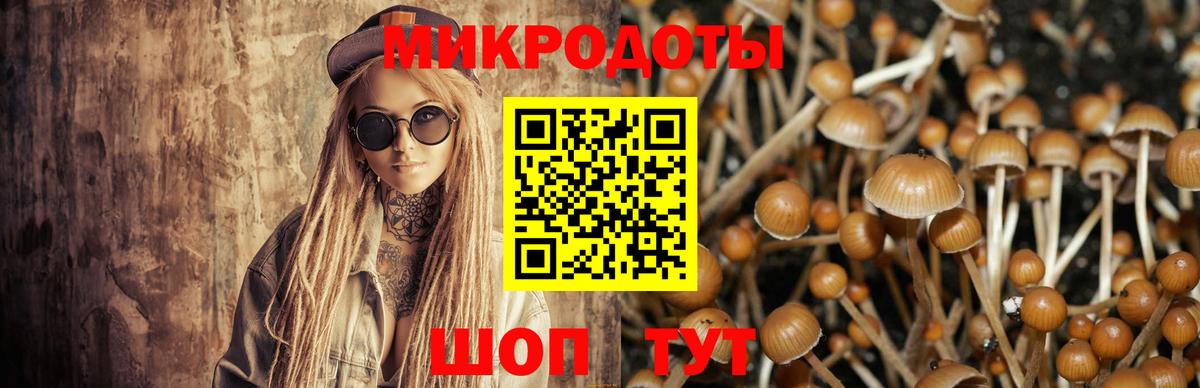 Псилоцибиновые грибы GOLDEN TEACHER Фурманов